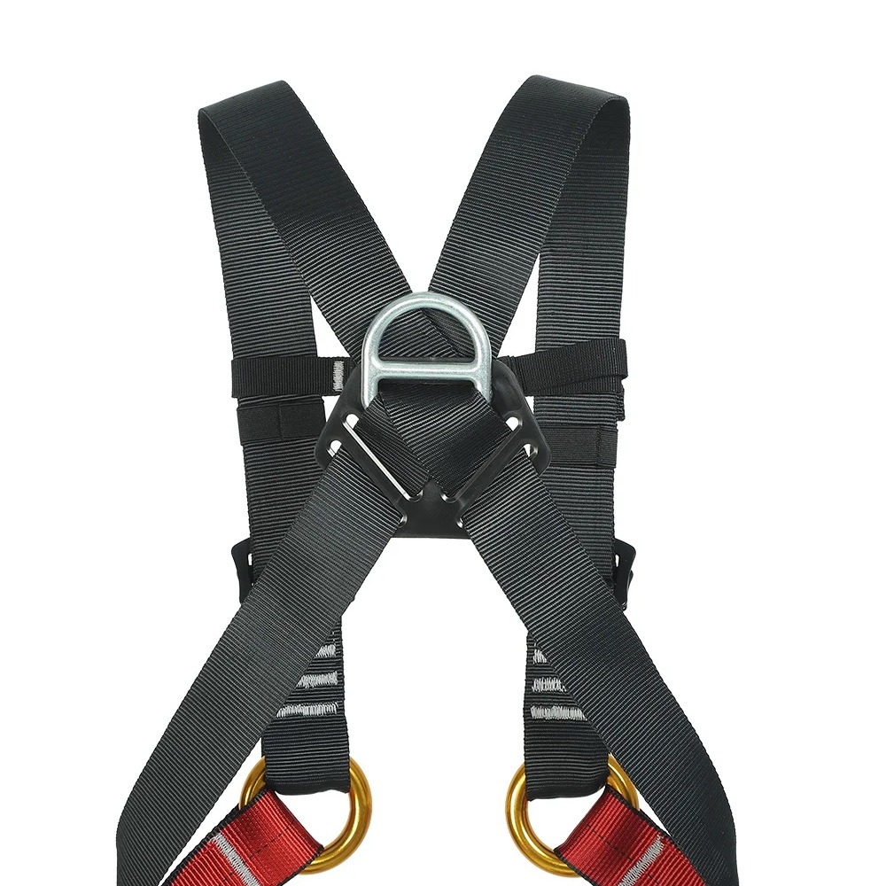 어린이 실내 확장 전신 하네스 야외 암벽 등반 야외 보 - Kids Outdoor Climbing 리뷰 및 가격
